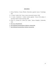 Duonos gaminių kepimo verslo organizavimas 20 puslapis