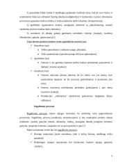 Duonos gaminių kepimo verslo organizavimas 9 puslapis
