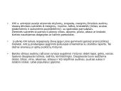 Barokas XVII–XVIII a. Liudviko XIV valdymo laikotarpyje 15 puslapis