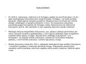 Barokas XVII–XVIII a. Liudviko XIV valdymo laikotarpyje 10 puslapis