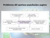 Žmonių populiacijos augimas (skaidrės) 12 puslapis