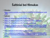 Žmonių populiacijos augimas (skaidrės) 18 puslapis