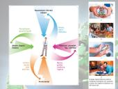 Žmonių populiacijos augimas (skaidrės) 8 puslapis