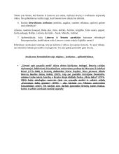 Sigitas Geda „Giesmė apie pasaulio medį“ analizė 2 puslapis
