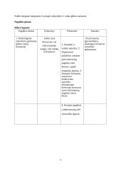 Atvejo analizė. Diskriminacija dėl rasės patyčių forma 4 puslapis