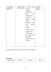 Atvejo analizė. Diskriminacija dėl rasės patyčių forma 5 puslapis