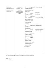 Atvejo analizė. Diskriminacija dėl rasės patyčių forma 6 puslapis