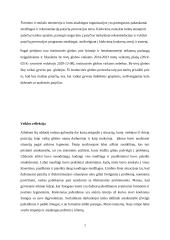 Atvejo analizė. Diskriminacija dėl rasės patyčių forma 7 puslapis