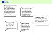 Darbdavio įvaizdis. įmonės vadovas: talentas, lyderis  12 puslapis