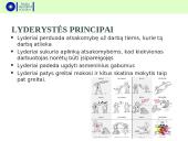 Darbdavio įvaizdis. įmonės vadovas: talentas, lyderis  17 puslapis