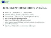 Darbdavio įvaizdis. įmonės vadovas: talentas, lyderis  19 puslapis