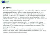 Darbdavio įvaizdis. įmonės vadovas: talentas, lyderis  4 puslapis