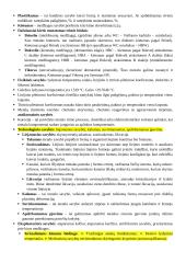 Metalai ir lydiniai 2 puslapis