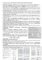 Srieginių sujungimų, riedėjimo guolių konstrukcijų analizė, reduktoriaus kinematinės schemos sudarymas 4 puslapis