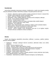 Ekonomikos kategorijų ir kategorijų derinių modeliavimas 3 puslapis