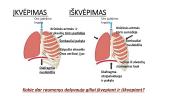 Kvėpavimo judesiai (skaidrės) 4 puslapis