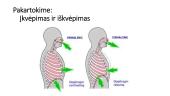 Kvėpavimo judesiai (skaidrės) 5 puslapis