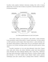 Ekonomikos sistemos 10 puslapis