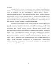 Kaip propoganda veikė 2015-2020 m. prezidento rinkimus Baltarusijoje 15 puslapis