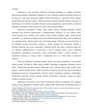 Kaip propoganda veikė 2015-2020 m. prezidento rinkimus Baltarusijoje 2 puslapis