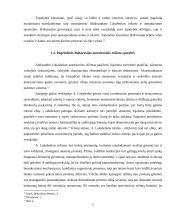 Kaip propoganda veikė 2015-2020 m. prezidento rinkimus Baltarusijoje 5 puslapis