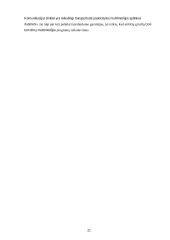 Multimedijos duomenų bazės  20 puslapis