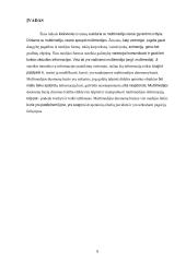 Multimedijos duomenų bazės  4 puslapis