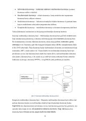 Multimedijos duomenų bazės  7 puslapis