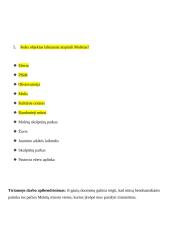 Miniatiūros, įkvėptos mano gimtojo krašto  14 puslapis