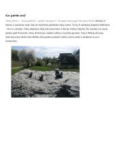 Miniatiūros, įkvėptos mano gimtojo krašto  5 puslapis