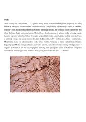 Miniatiūros, įkvėptos mano gimtojo krašto  8 puslapis