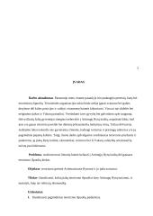 Terorizmo išpuoliai artimuosiuose rytuose 2 puslapis