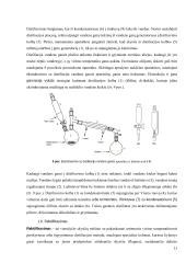 Distiliavimas (konspektas) 11 puslapis
