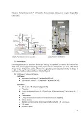 Distiliavimas (konspektas) 14 puslapis