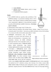 Distiliavimas (konspektas) 15 puslapis