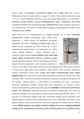 Distiliavimas (konspektas) 17 puslapis