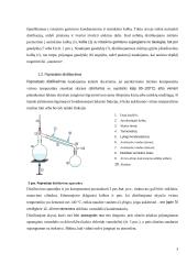 Distiliavimas (konspektas) 3 puslapis