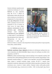 Distiliavimas (konspektas) 6 puslapis