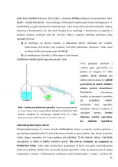 Distiliavimas (konspektas) 10 puslapis