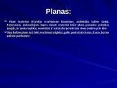 Viešosios kalbos (skaidrės) 12 puslapis