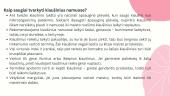 Kiaušiniai ir jų produktai (skaidrės) 11 puslapis