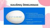 Kiaušiniai ir jų produktai (skaidrės) 9 puslapis