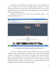 Elektroninis verslas ir statyba 12 puslapis