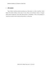 Dirbtinis intelektas ir jo taikymas 10 puslapis