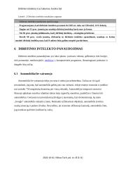 Dirbtinis intelektas ir jo taikymas 7 puslapis