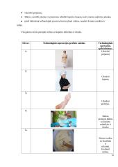 Varškės spurgos. Technologijų mokyklinio brandos egzamino baigiamojo darbo aprašas 15 puslapis