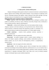 Varškės spurgos. Technologijų mokyklinio brandos egzamino baigiamojo darbo aprašas 6 puslapis