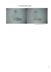 Varškės spurgos. Technologijų mokyklinio brandos egzamino baigiamojo darbo aprašas 9 puslapis