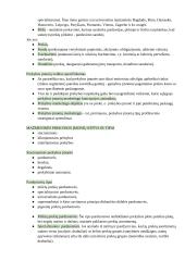 Konspektas. Tarptautinės prekyba 2 puslapis