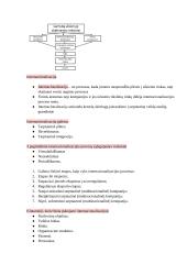 Konspektas. Tarptautinės prekyba 13 puslapis